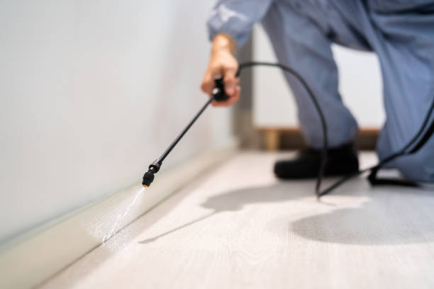 Licensed Termite Control service in San Andreas, CA - Nex Pest Control
