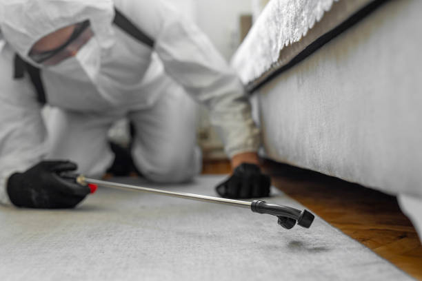 Professional Termite Control technician working in San Andreas, CA
