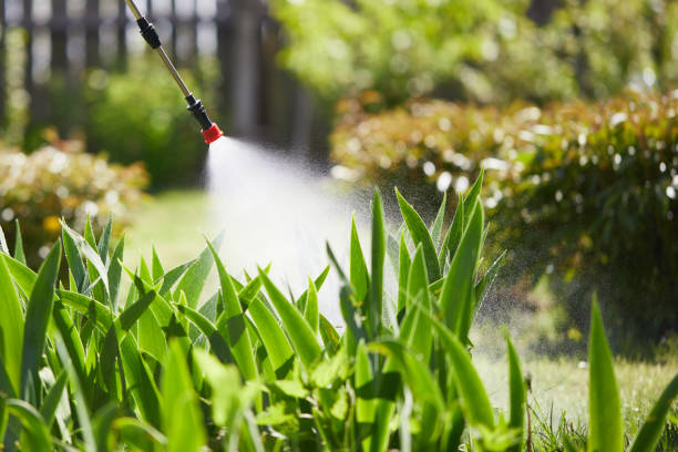 24/7 Emergency Termite Control experts in San Andreas, CA