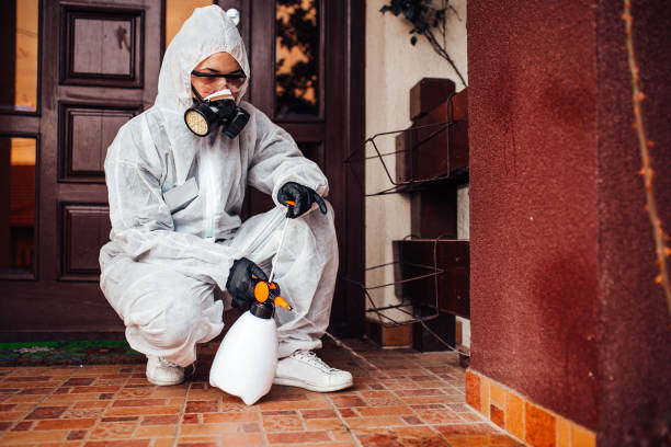 Reliable Termite Control contractor in San Andreas, CA by Nex Pest Control