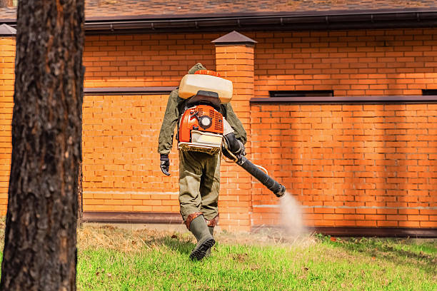 Top rated local Termite Control specialists in San Andreas, CA